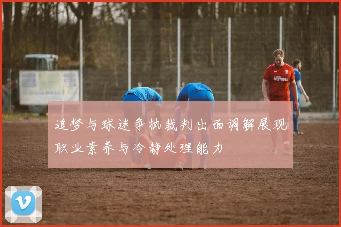 追梦与球迷争执裁判出面调解展现职业素养与冷静处理能力