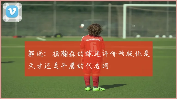 解说：杨瀚森的球迷评价两极化是天才还是平庸的代名词