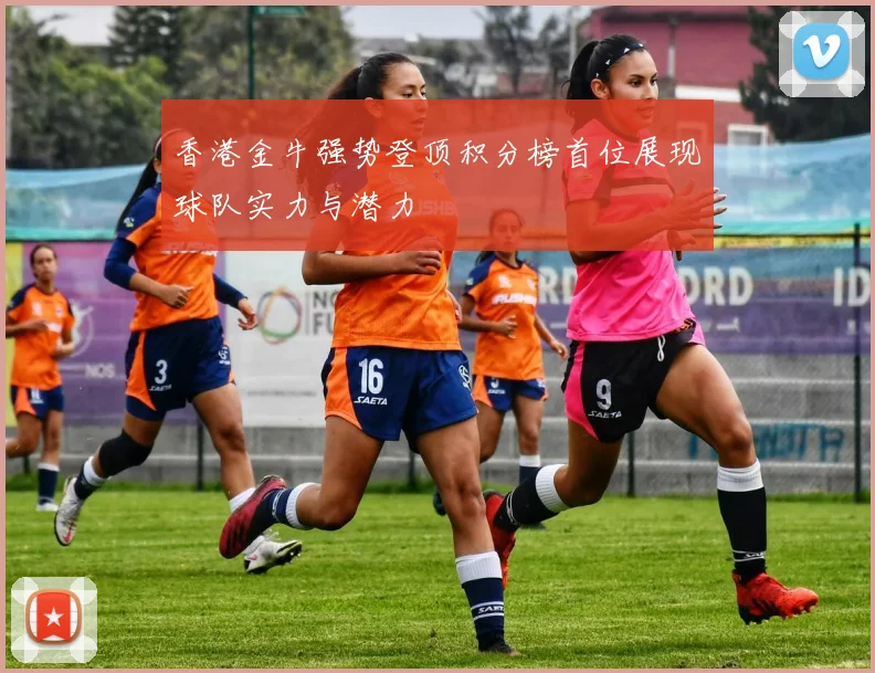 香港金牛强势登顶积分榜首位展现球队实力与潜力